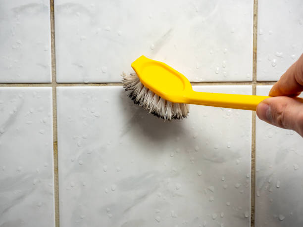 Best Emergency Mold Remediation in Delafield, WI