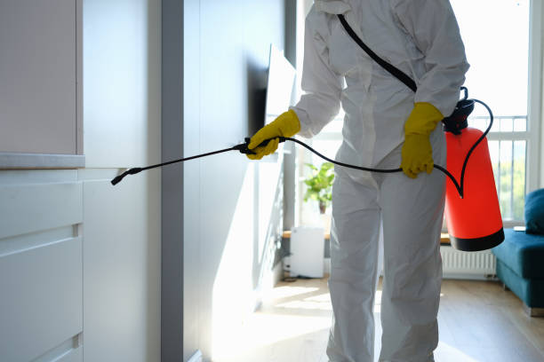 Best Residential Mold Remediation in Delafield, WI